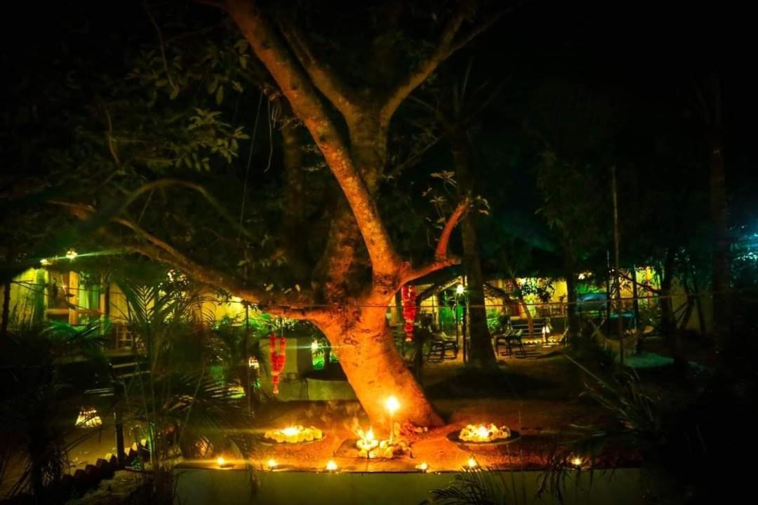 Patnem Palm Garden Hotell Patnem Beach Eksteriør bilde
