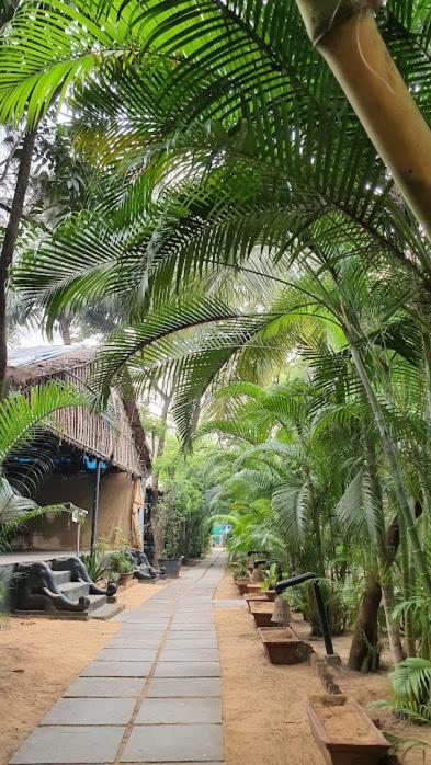 Patnem Palm Garden Hotell Patnem Beach Eksteriør bilde